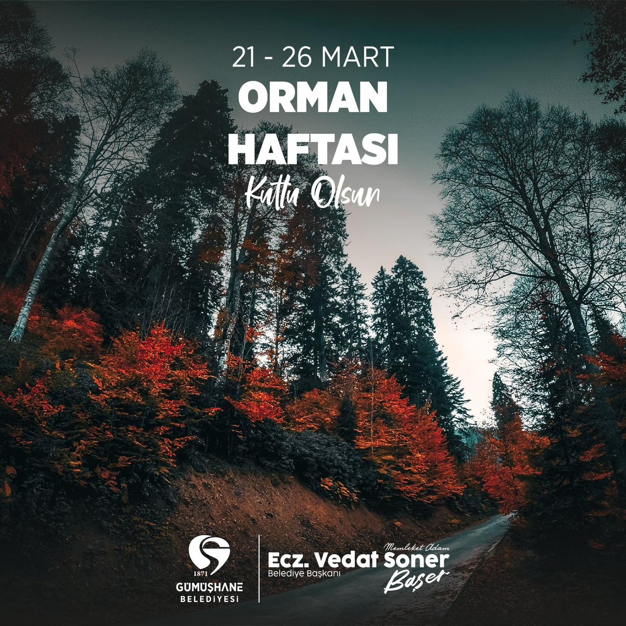 BAŞKANIMIZ, ORMAN HAFTASINI KUTLADI