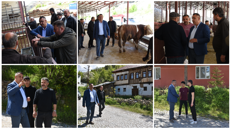 BAŞKANIMIZ, MEZBAHANE VE HAYVAN PAZARIMIZ VE TARİHİ SÜLEYMANİYE MAHALLEMİZİ ZİYARET ETTİ